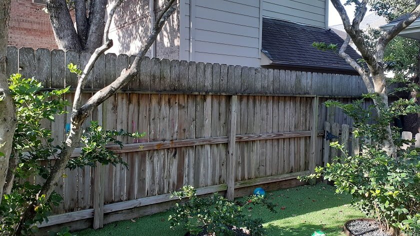 Picket fence covered in algae before cleaning by LKJ Preferred Services, Houston TX